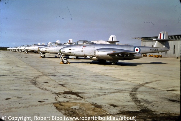 Gloster Meteor F8, (A77-258), 9 in photo.