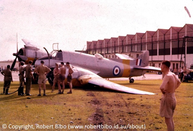 Beaufighter TT10, RAF Selatar Wing, (RD814)