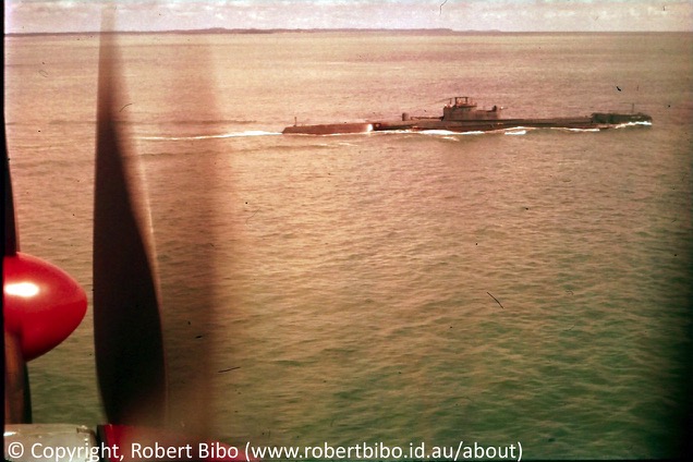 HMS Thorough (P324)