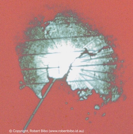 Singapore and Malay peninsula as seen by the H2S radar mounted to a Lincoln.