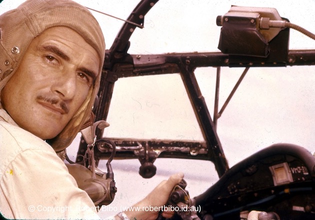 The pilot.